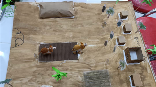 ختام التطبيق الميداني لطالبات المستوى الرابع بكلية البنات جامعة الاحقاف